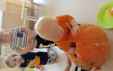IMG_20251031_092034